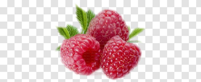 Fruit Salad Red Raspberry Vegetable - Boysenberry Transparent PNG