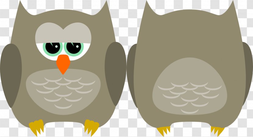 Barn Owl Bird Of Prey Clip Art - Drawing Transparent PNG