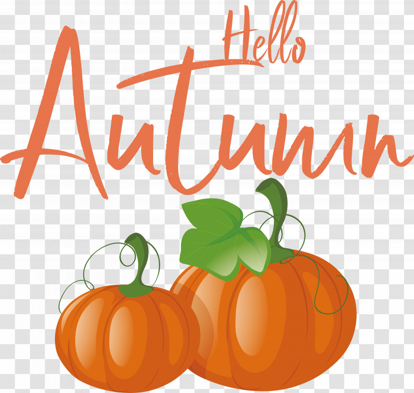 Pumpkin Transparent PNG