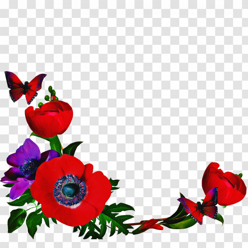 Flowers Background - Rose Family - Anemone Transparent PNG