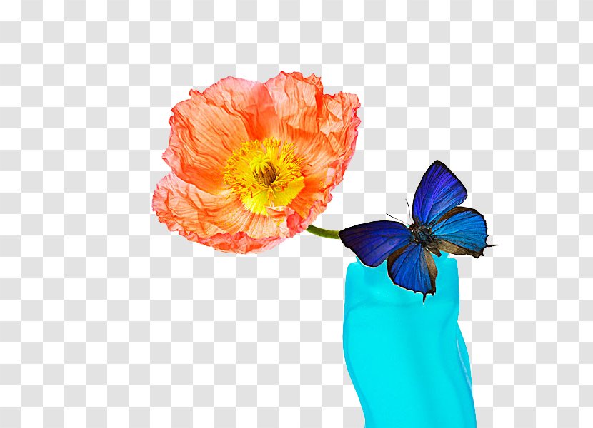 Butterfly Flower - Transparency And Translucency - Flowers Transparent PNG