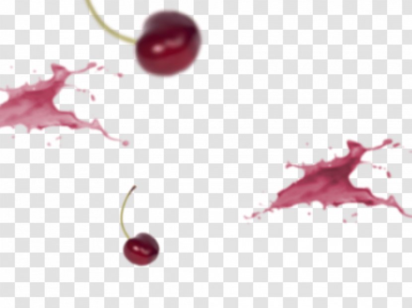 Cranberry Cherry Close-up Auglis - Berry Transparent PNG