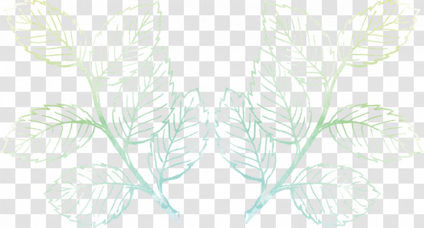 Drawing Grasses Leaf Plant Stem - Flora Transparent PNG