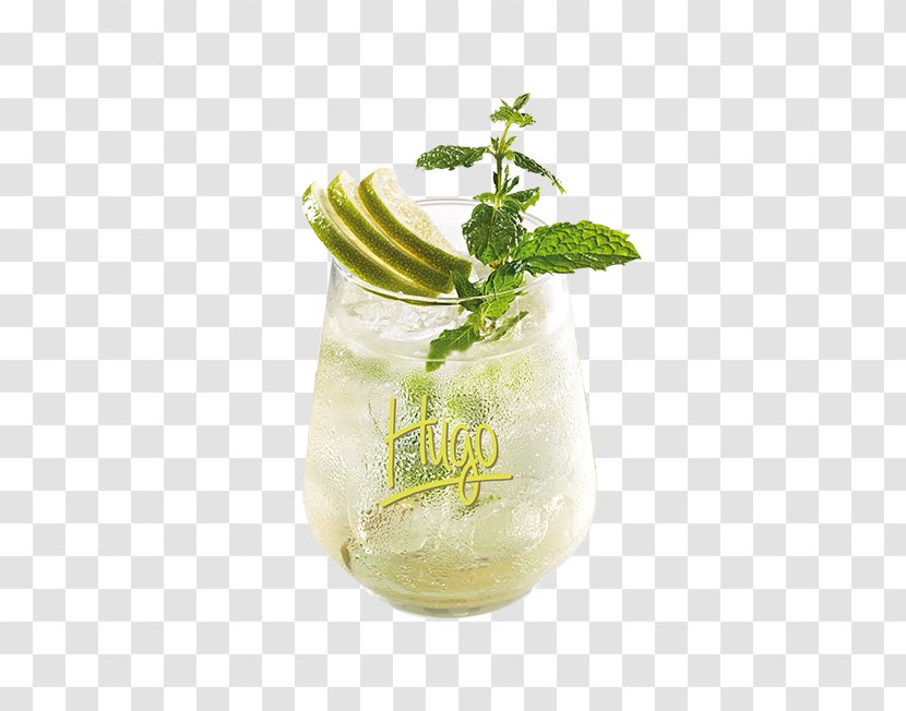 Mint Julep Mojito Herb Flavor Transparent PNG