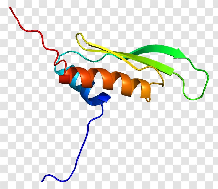 Double-stranded RNA Viruses PRKRA Protein Kinase - Calmodulin Transparent PNG