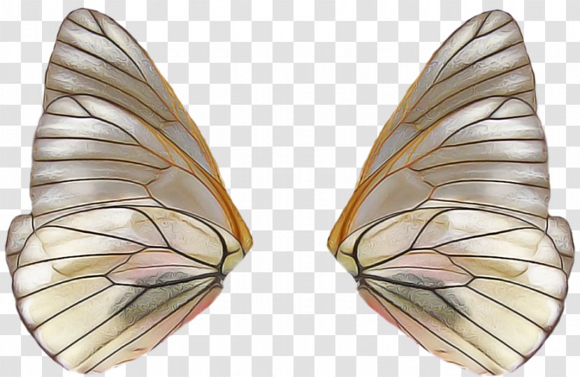 Feather - Symmetry - Brushfooted Butterfly Transparent PNG