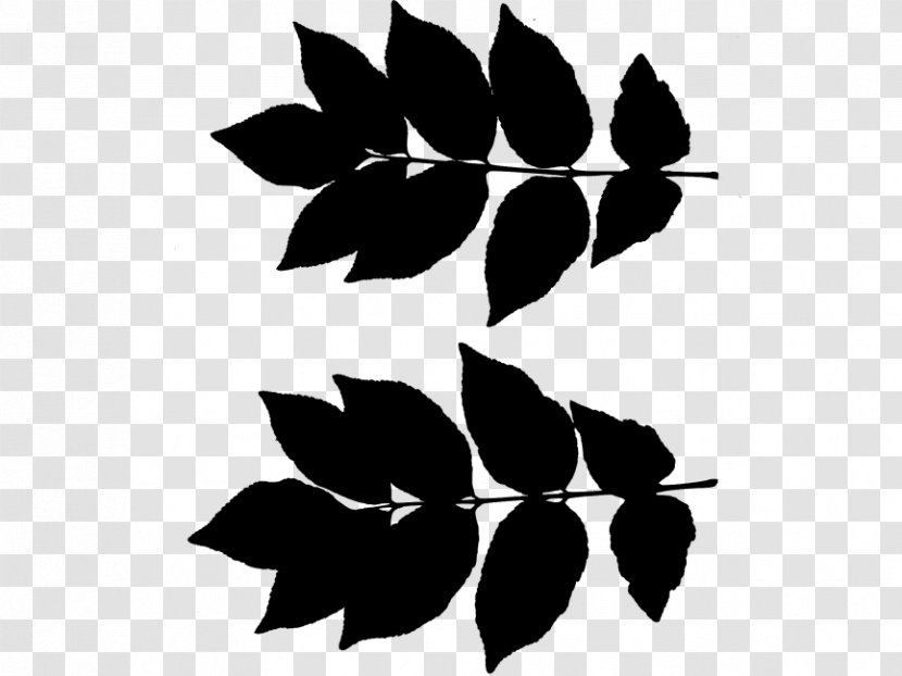 Flower Leaf Plant Stem Pattern Clip Art - Photography - Silhouette Transparent PNG