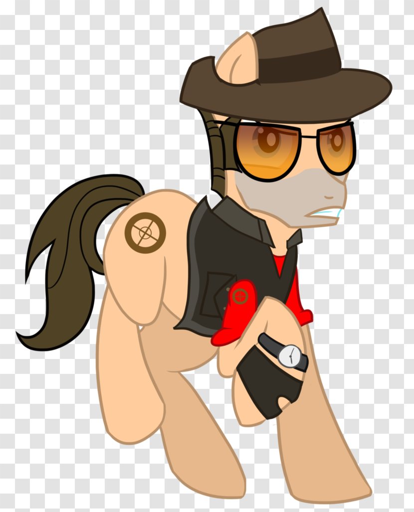 My Little Pony Team Fortress 2 Portal Fluttershy - Frame Transparent PNG