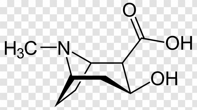 Ecgonine Drug Chemistry Isoleucine Chemical Substance - Monochrome - Melting Transparent PNG