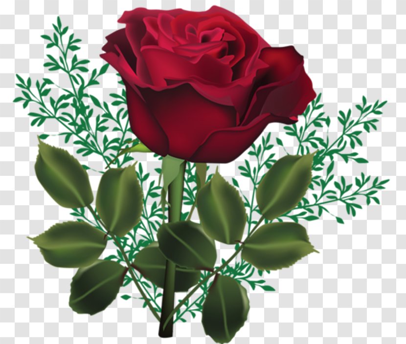 Flower Garden Roses Red Pink - Green Transparent PNG
