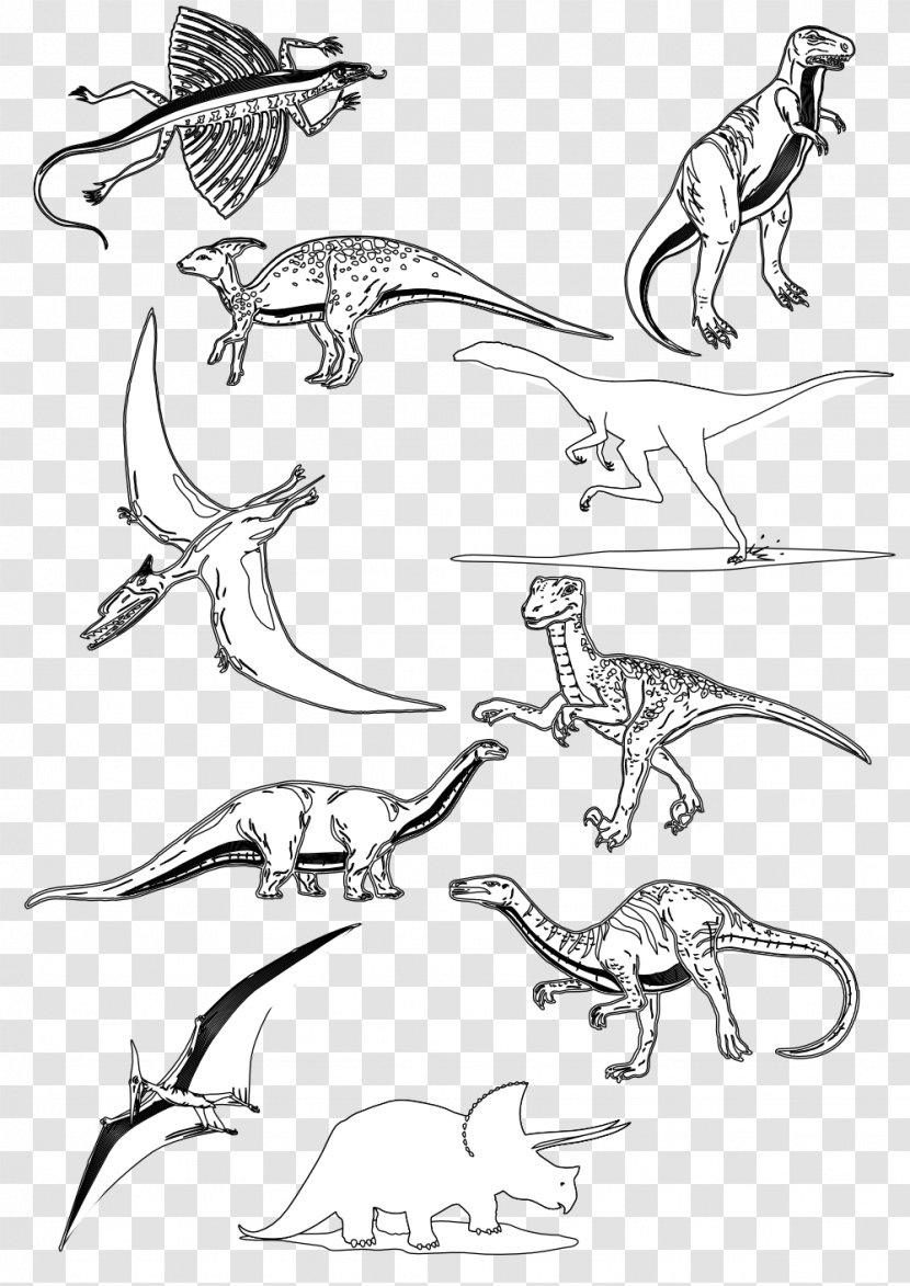 Sketch Line Art Clip Illustration Drawing - Wildlife - Dinosaur Border Transparent PNG