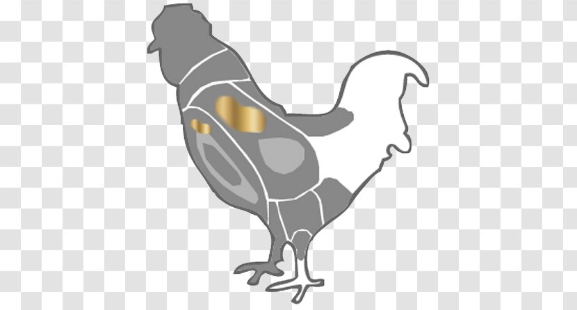 Rooster Chicken Clip Art Illustration Fauna - Design M Group - Peixe Assado Bem Transparent PNG