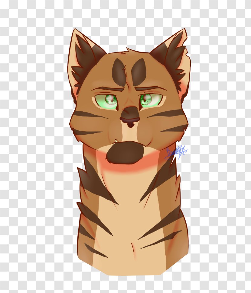 Tabby Cat Kitten Whiskers Forest Of Secrets - Game Warrios Transparent PNG