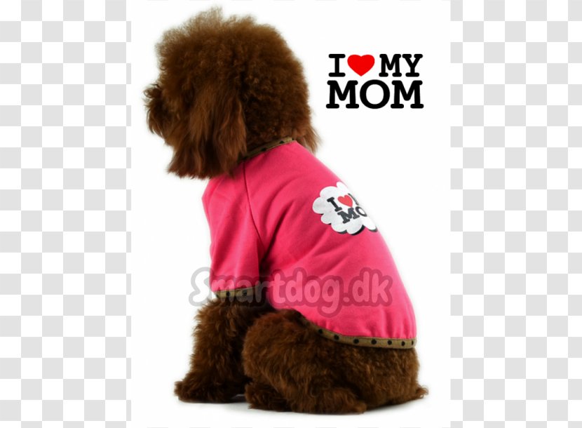 Standard Poodle Puppy Dog Breed Companion Transparent PNG