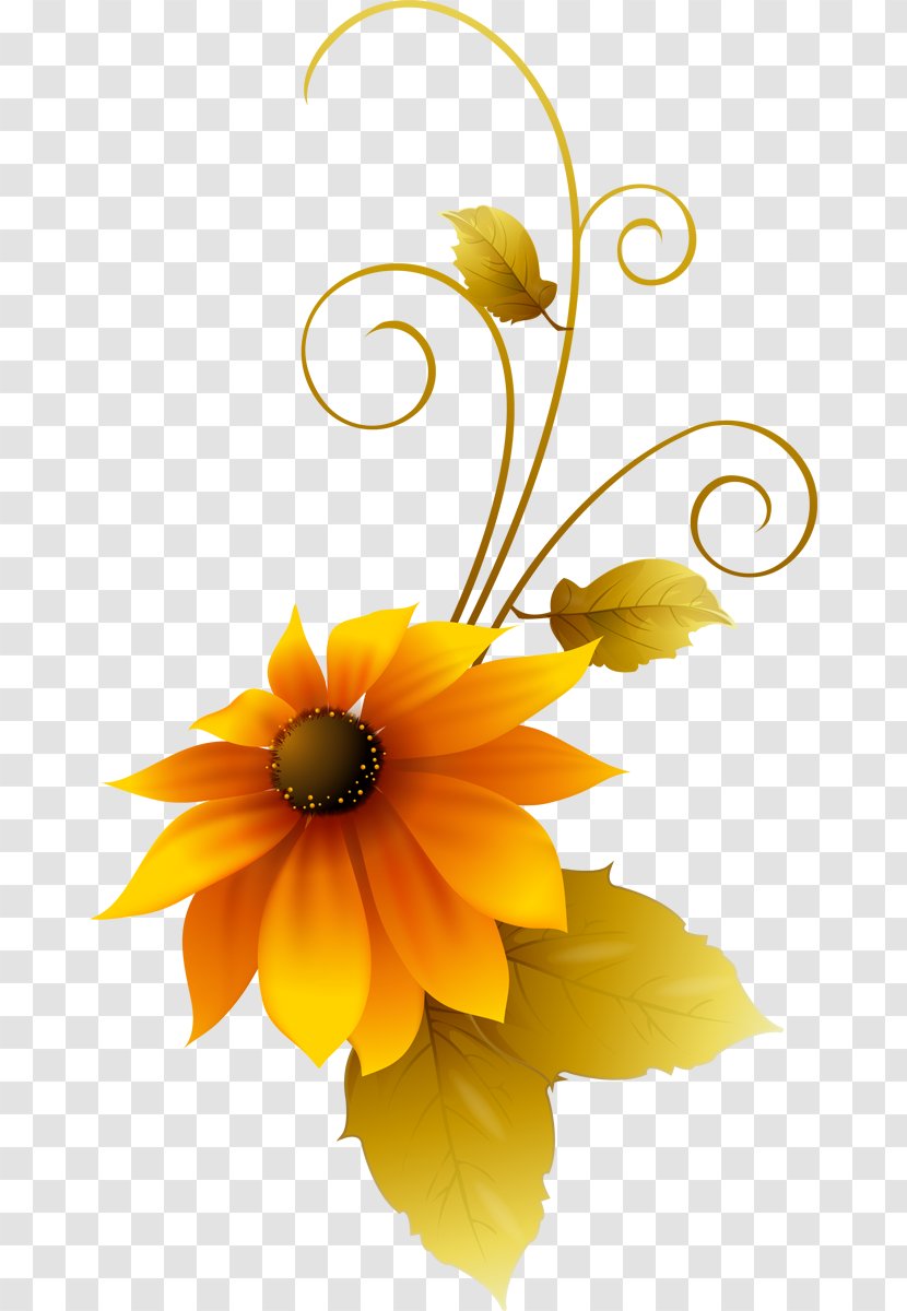 Common Sunflower Adobe Photoshop Design Graphics - Flower Transparent PNG