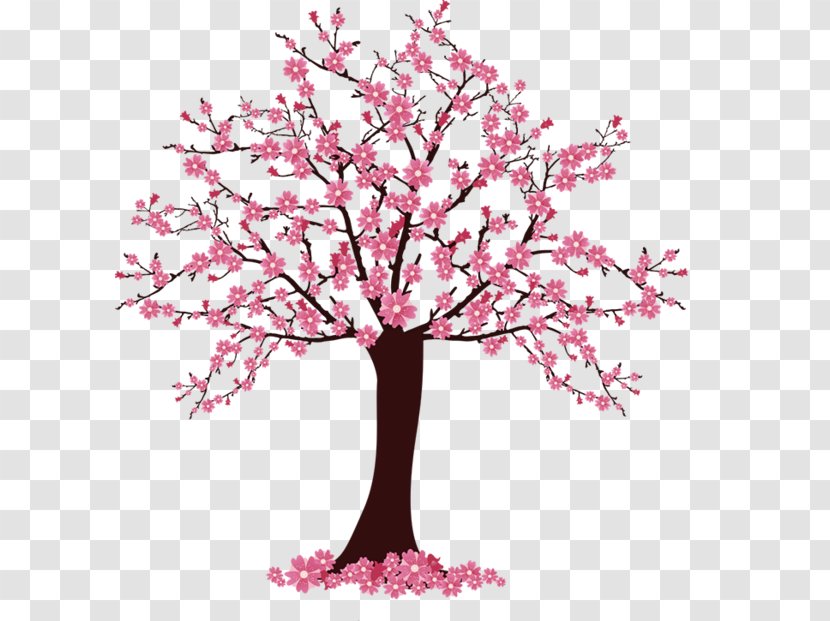 Cherry Blossom Tree Clip Art - Petal - Sakura Transparent PNG