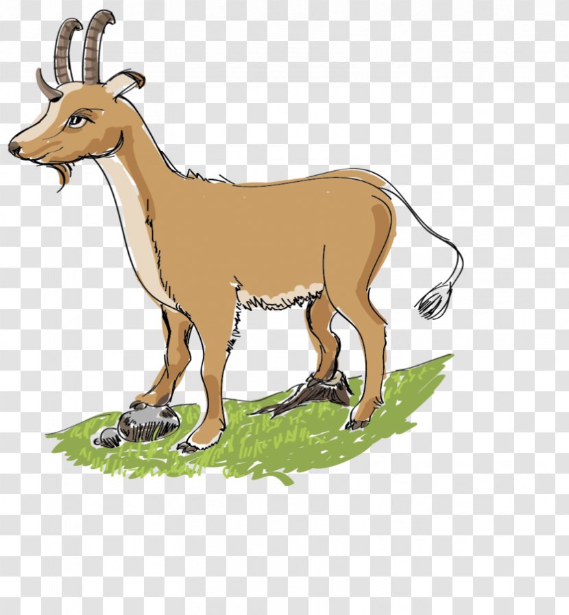 Cattle Deer Mammal La Foret Des Vert'tiges Goat - Pack Animal - Nus Background Transparent PNG