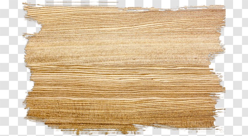 Wood Stain Plywood - Osteoporosis - Texture Transparent PNG
