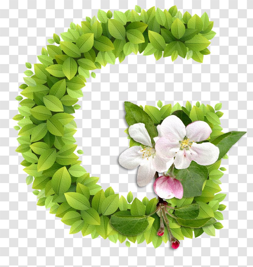 Letter Image Alphabet Find The Difference - Floral Design - PicturesMatcha Transparent PNG