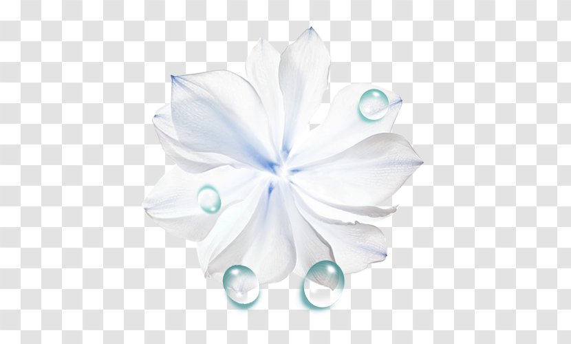 Liquid Flower Drop - Big Drops Transparent PNG