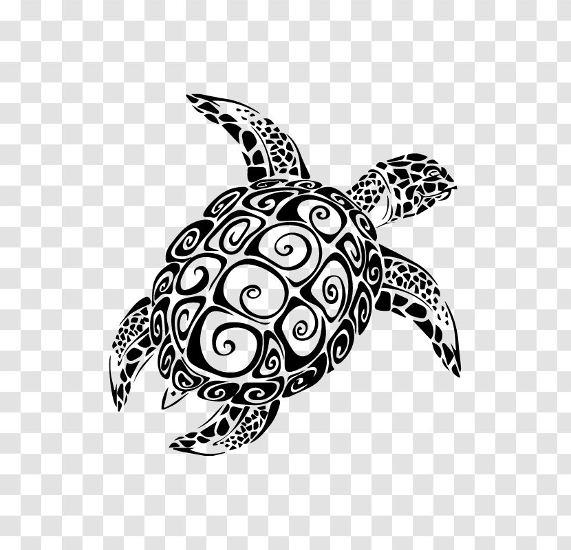 Sea Turtle Wall Decal Sticker - Art Transparent PNG