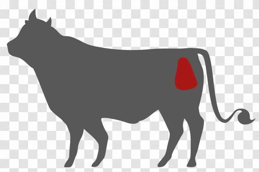 Taurine Cattle Organic Food Loin Tafelspitz Oxtail - Cat Like Mammal - Meat Transparent PNG