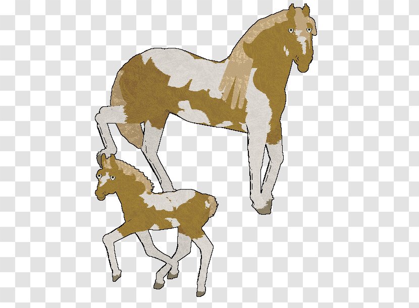 Mule Foal Mustang Colt Stallion - Mane Transparent PNG