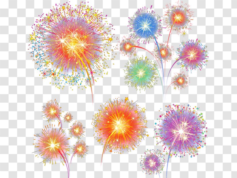 Floral Design Sky Petal Dahlia Pattern - Floristry - Fireworks Transparent PNG