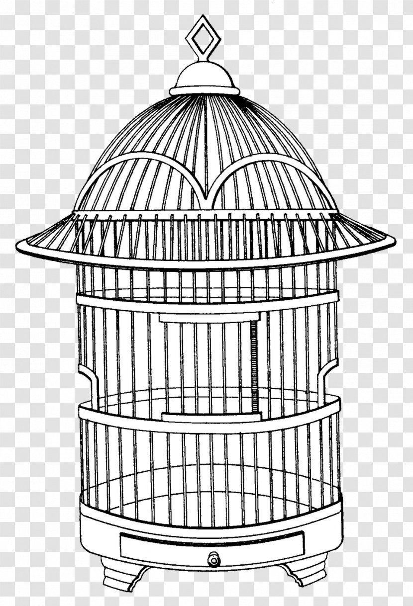 Drawing Line Art Sketch - Birdcage - Aviary Transparent PNG