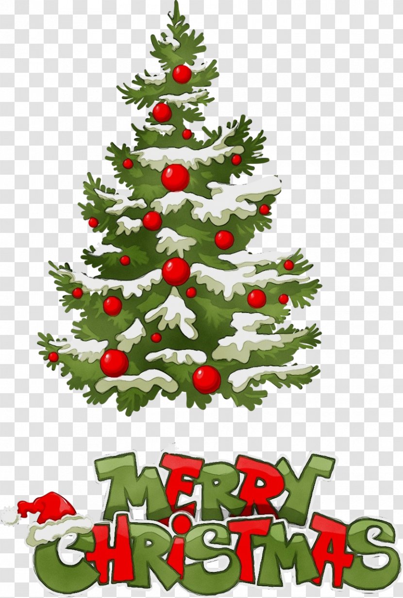 Christmas Decoration - Evergreen - Holiday Ornament Plant Transparent PNG