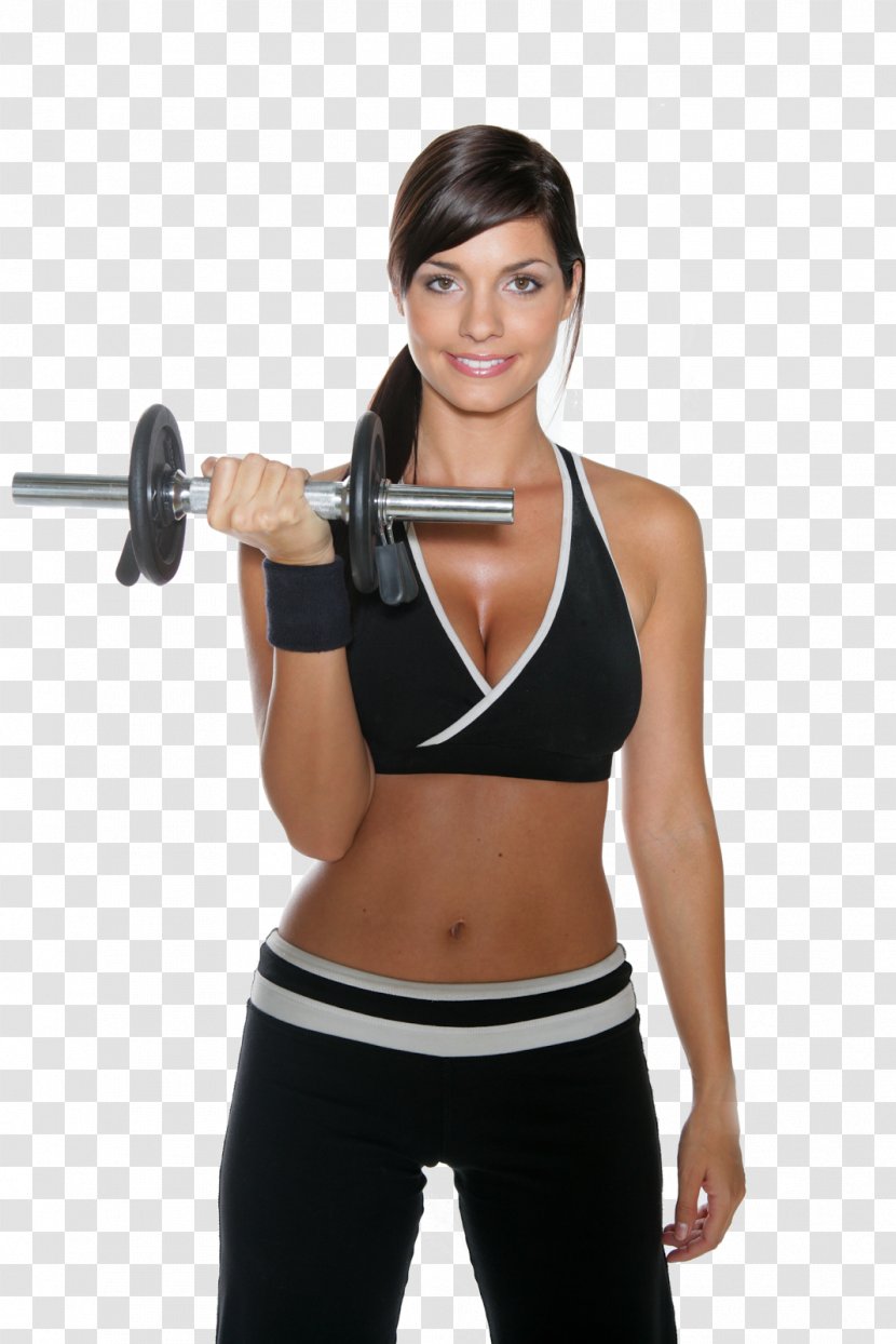 Physical Fitness Centre Exercise Weight Training Loss - Cartoon - Six Pack Abs Transparent PNG