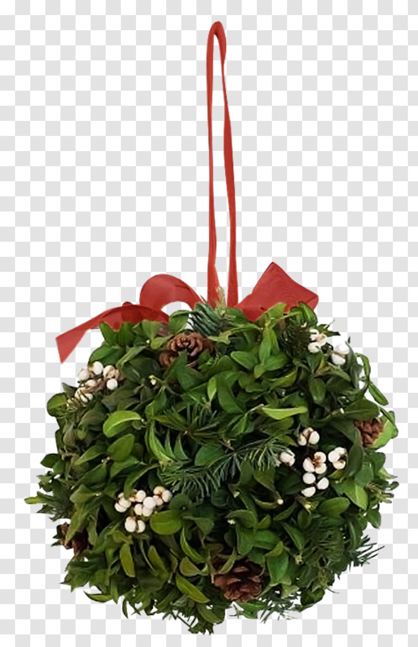 Floral Design 3D Computer Graphics Christmas - Wreath Transparent PNG