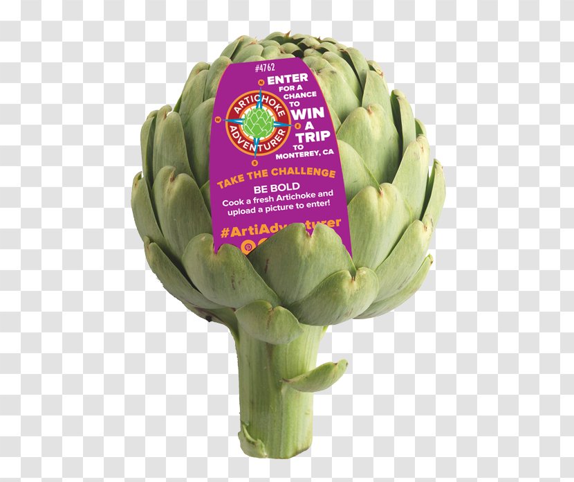 Artichoke Organic Food Shelf Life Marketing - Promotion - California And Vegetable Growers Corpora Transparent PNG