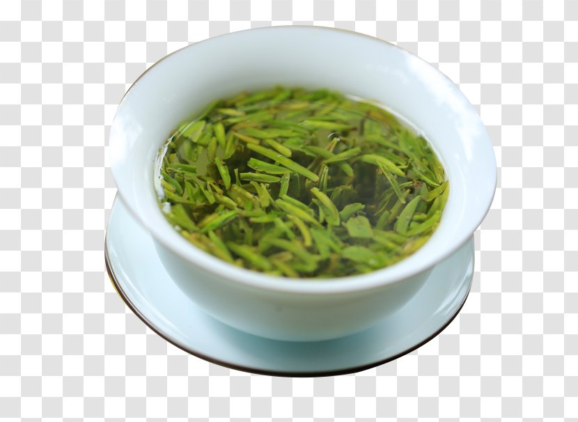 Xinyang Maojian Tea Sencha Longjing Shincha - Cup - Queshe Transparent PNG