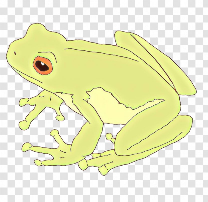True Frog Toad Tree Clip Art - Bullfrog Transparent PNG