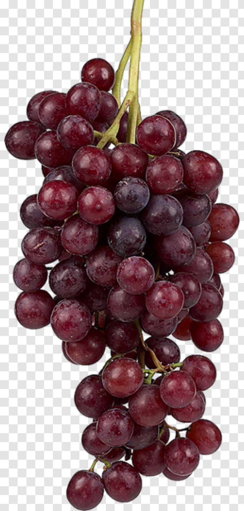 Grape Fruit Food Image Wine - Grapevine Family Transparent PNG