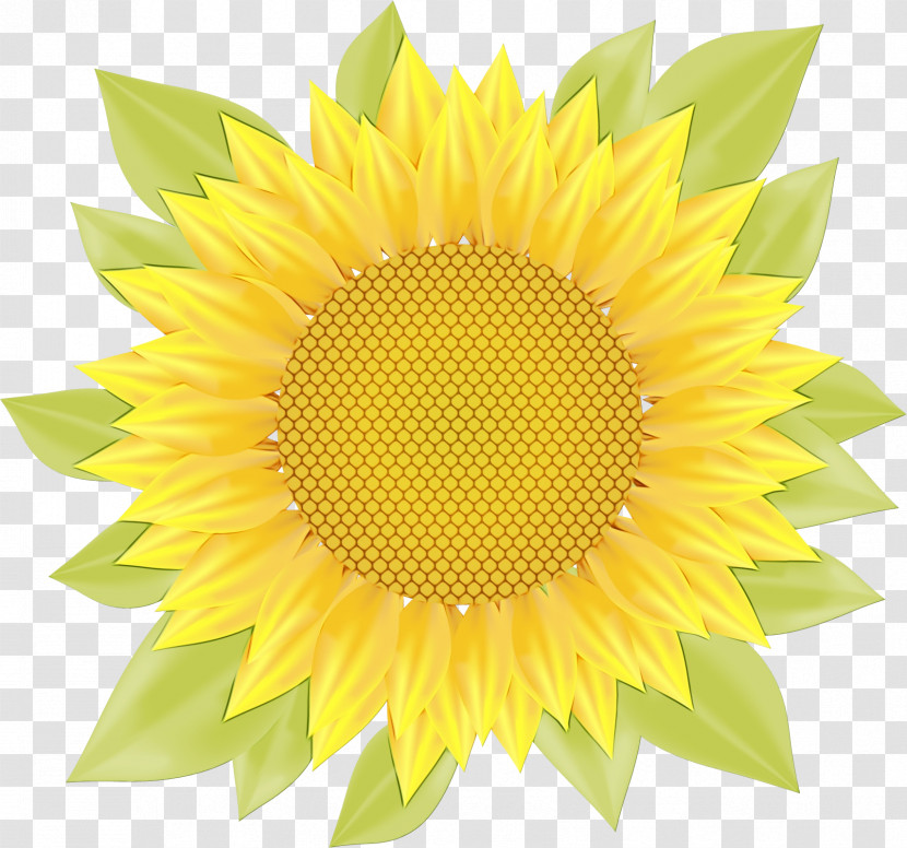 Dandelion Royalty-free Icon Transparent PNG