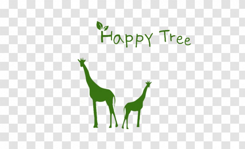 Giraffe Illustration - Giraffidae - Green Decorative Background Transparent PNG