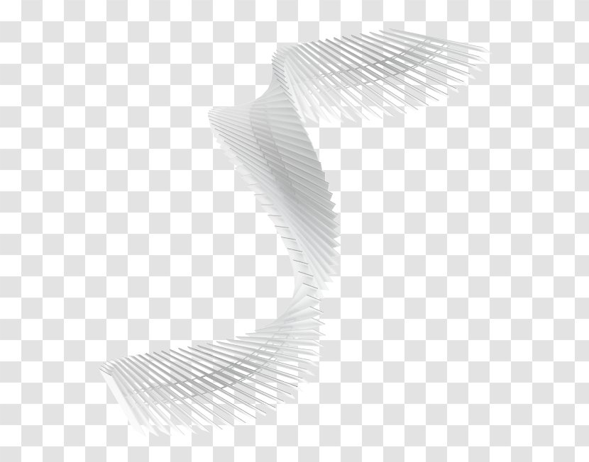 Black & White - Neck - M Product Design Transparent PNG