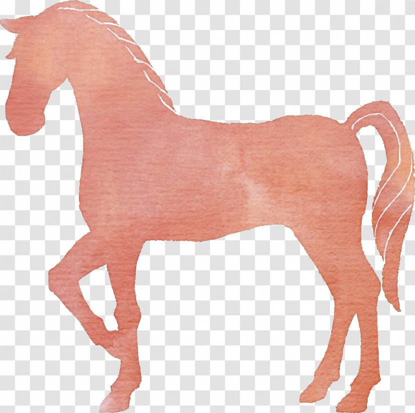 Acupuncture Therapy Medicine Mustang Surgery - Horse - Akira Silhouette Transparent PNG