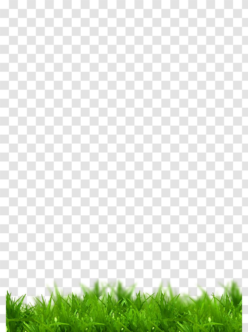 Grass - Green Transparent PNG