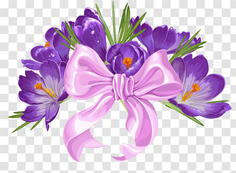 Flower - Flowering Plant - Petal Transparent PNG