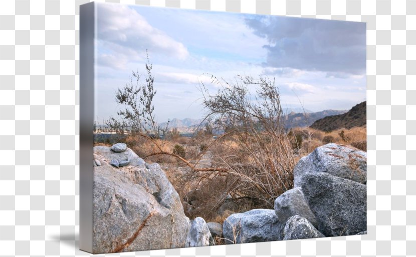 Geology Outcrop Badlands National Park Wilderness - State - Wood Transparent PNG