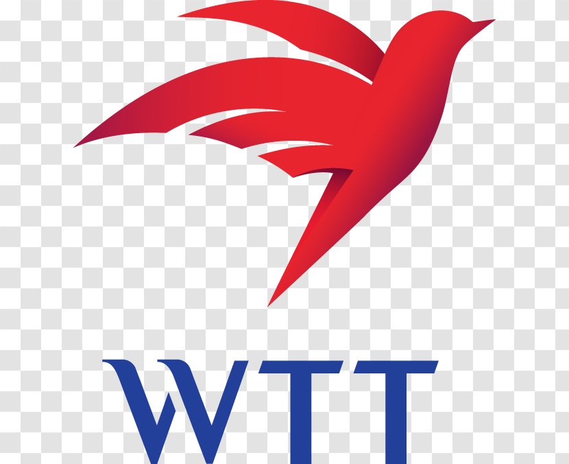 WTT HK Hong Kong Telecommunications Cloud Computing TPG Capital - Company Transparent PNG
