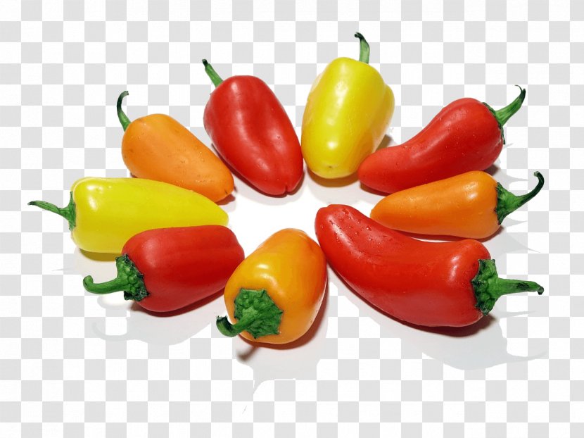 Bell Pepper Chili Orange Food Vegetable Transparent PNG