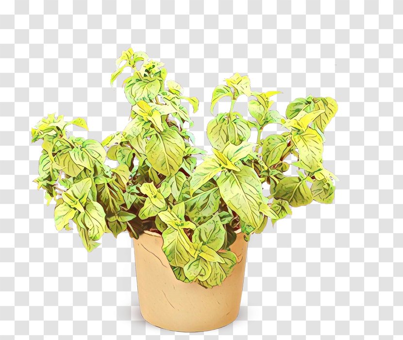 Lemon Flower - Ocimum - Perennial Plant Basil Transparent PNG