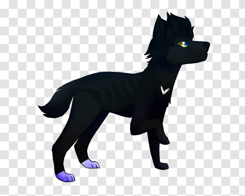 Dog Breed Schipperke Puppy Character Transparent PNG