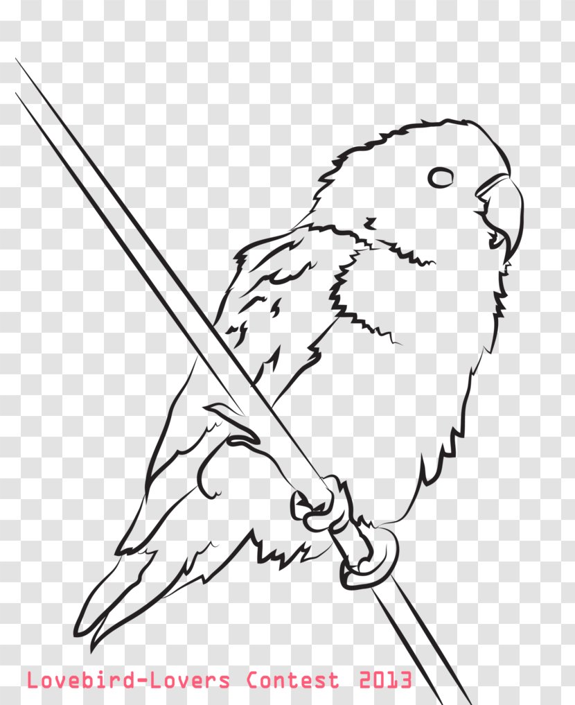 Coloring Book Drawing Beak Child Adult Transparent PNG