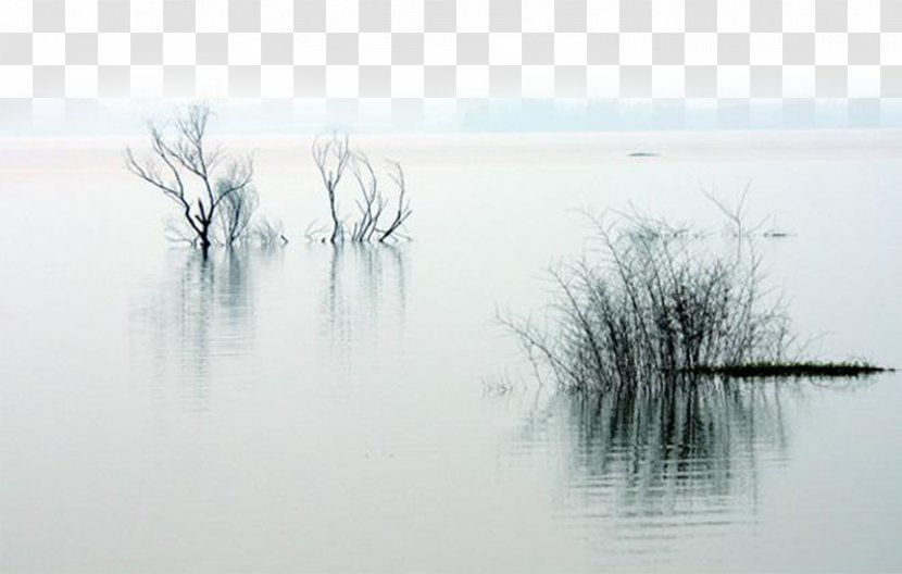 Ink Wash Painting Lake - Decoration Material Transparent PNG
