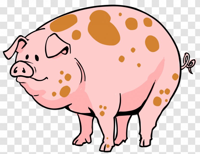 Domestic Pig Pig's Ear Cartoon Clip Art - Free Content - Pigs Images Transparent PNG